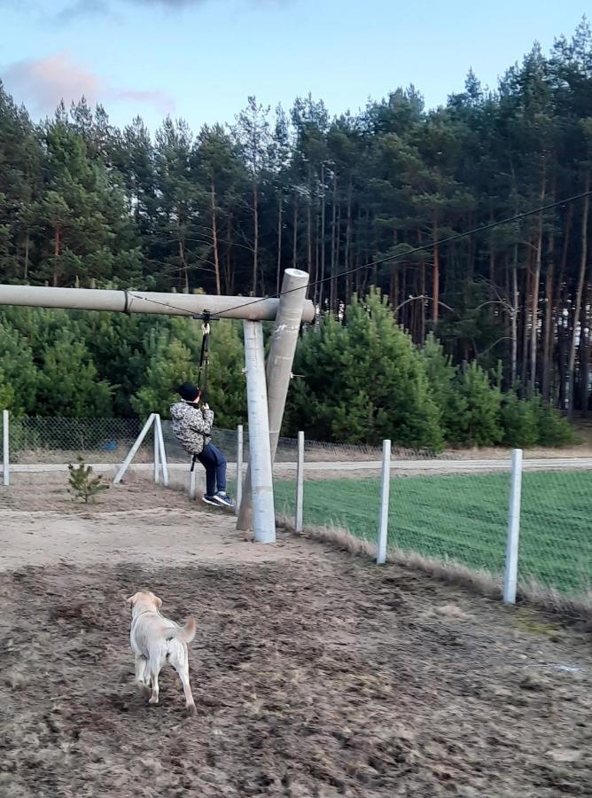 Domek Do Wynajecia - Siedlisko Przy Lesie Rzasnik Luaran gambar